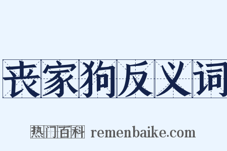 丧家狗反义词是什么意思的图片